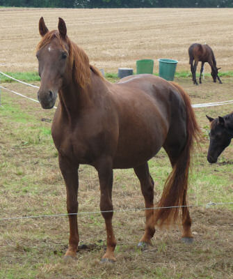 Alina im Sept. 2014