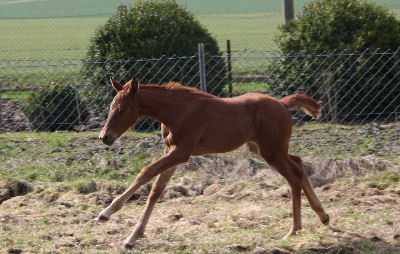 Fine Lady, April 2010