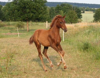 Fine Lady, April 2010