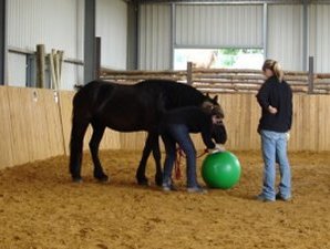 Kurs "Zirkuslektionen"